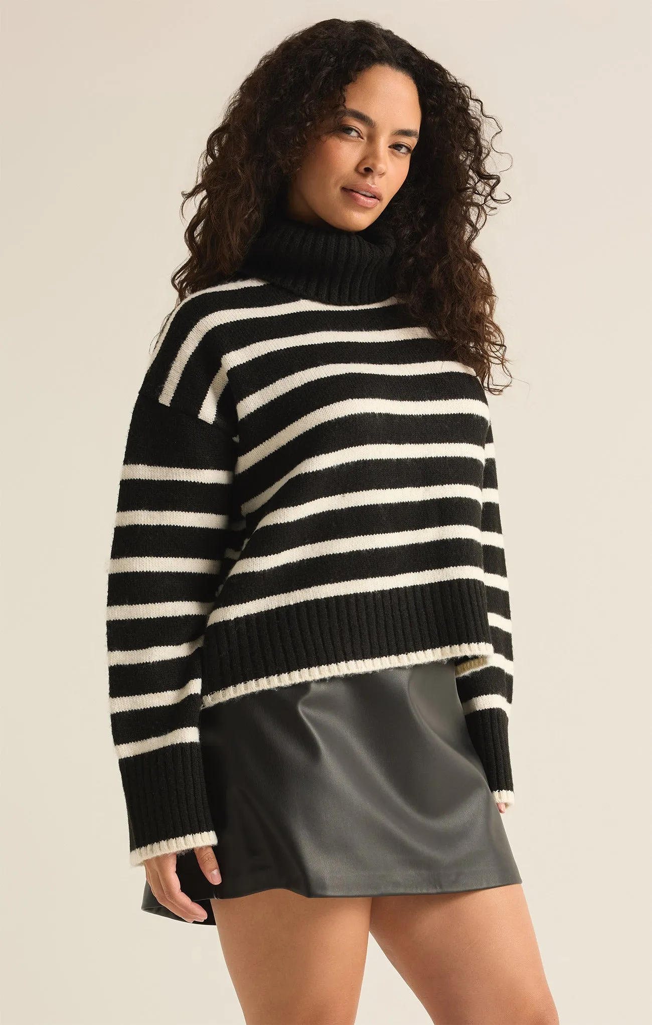 Josephine Stripe Turtleneck Sweater