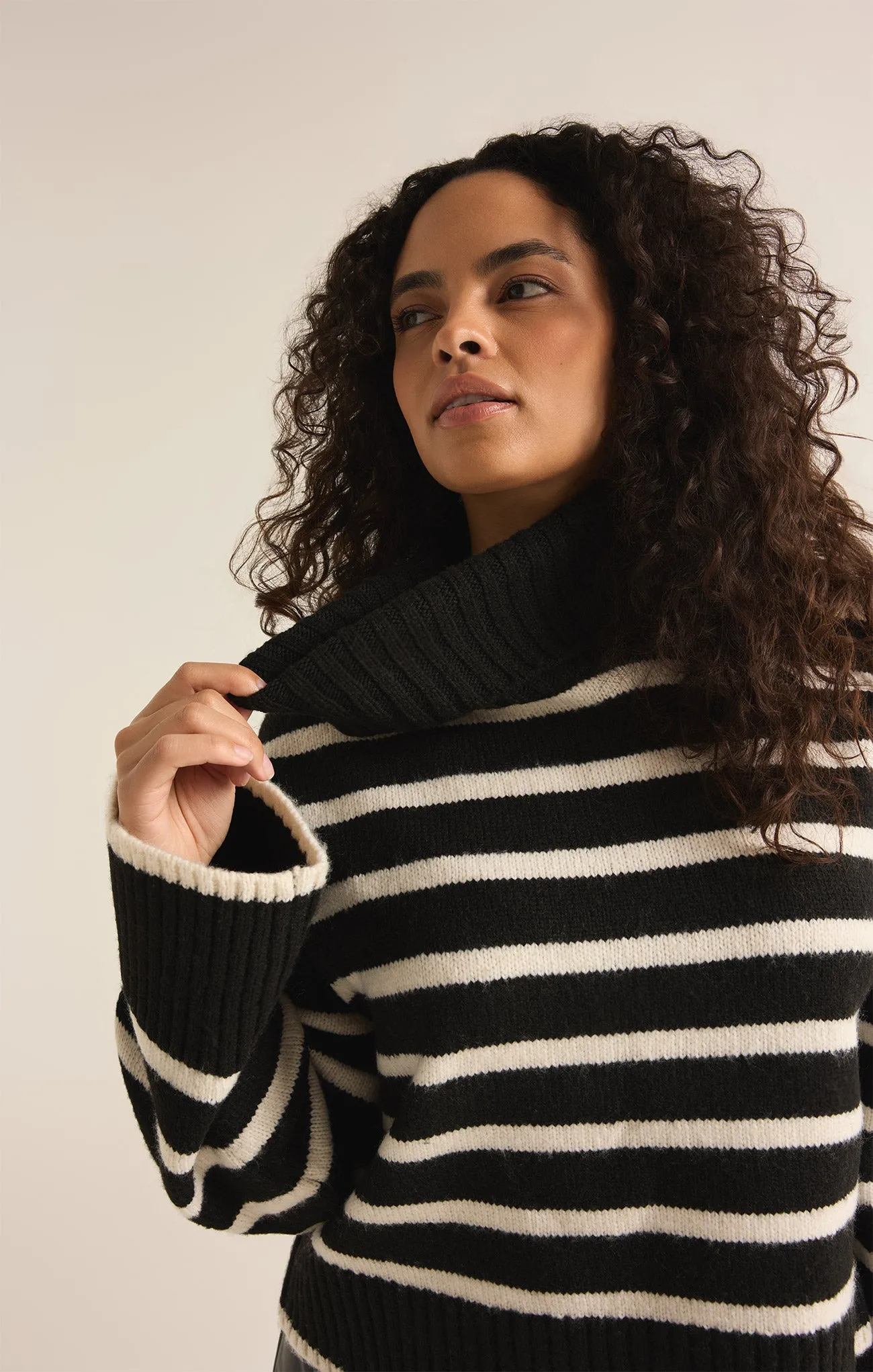 Josephine Stripe Turtleneck Sweater