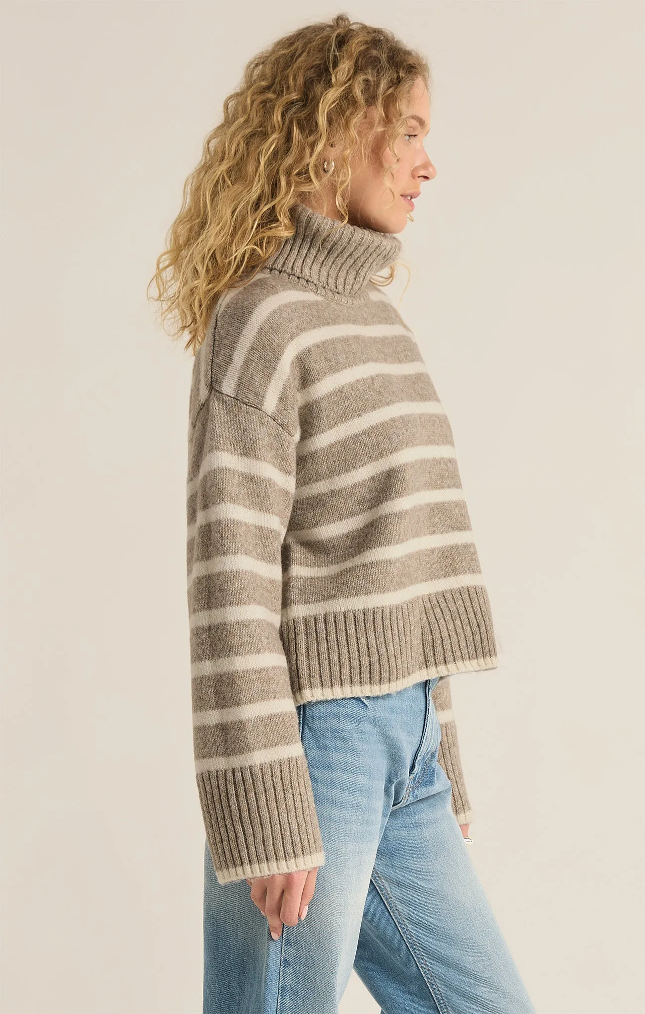 Josephine Stripe Turtleneck Sweater