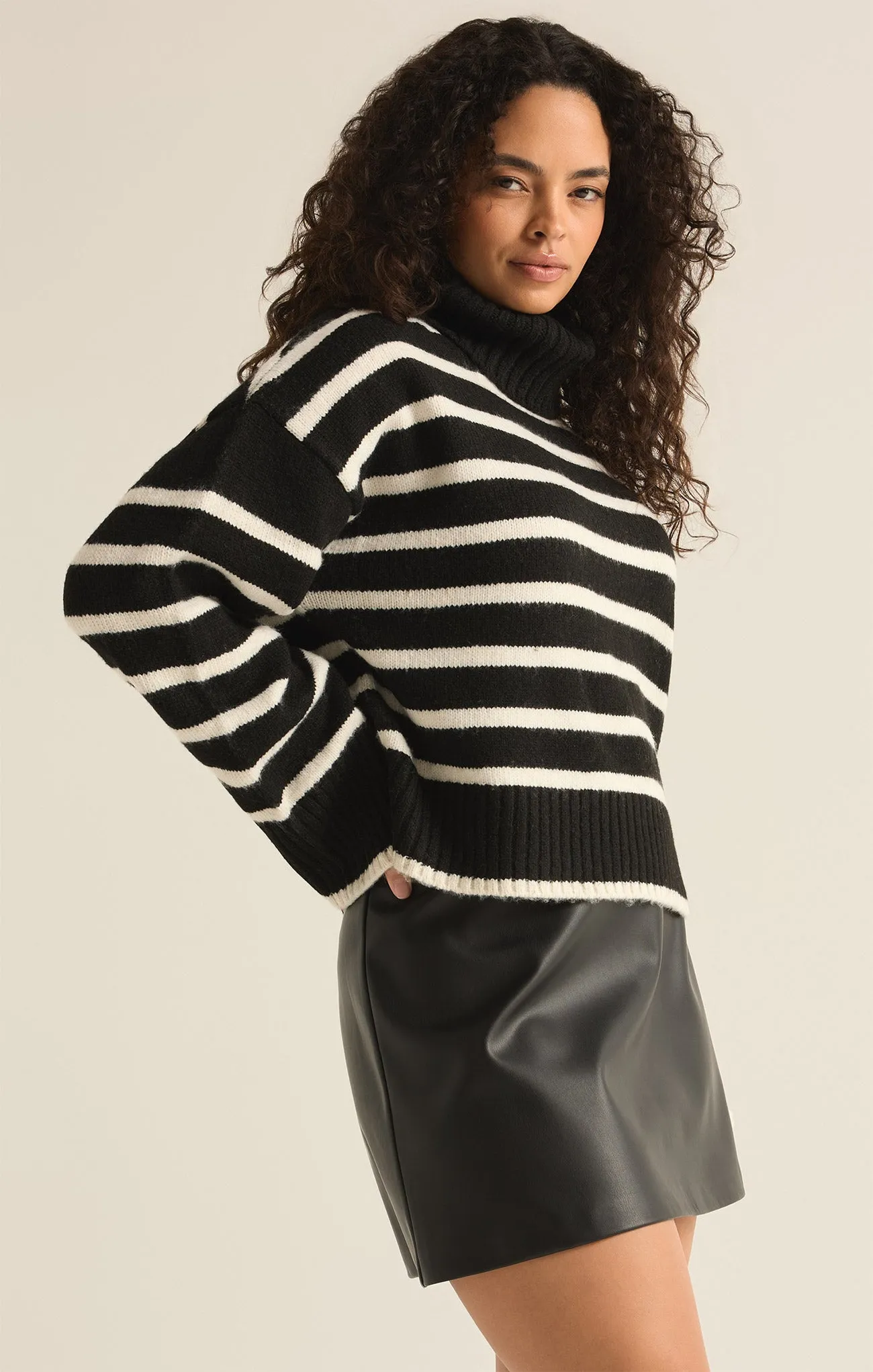 Josephine Stripe Turtleneck Sweater